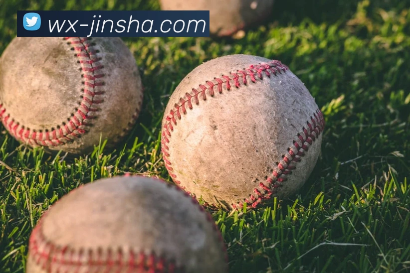 金沙娱乐城平台生态图