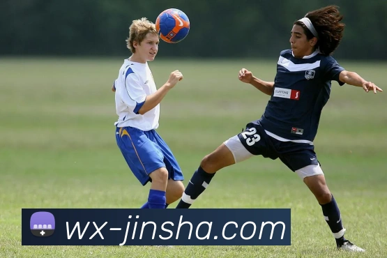 金沙娱乐城全站App